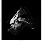 Portfolio/PolaroidPhotobarGallery2/images/Cool Maps/DropoffJune.jpg